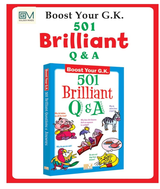 501 Brilliant Q & A 